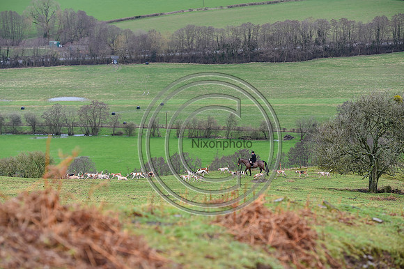 RadnorWestHereford_Hunting_PN24_13873