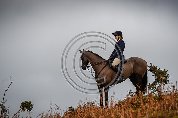 RadnorWestHereford_Hunting_PN24_13887