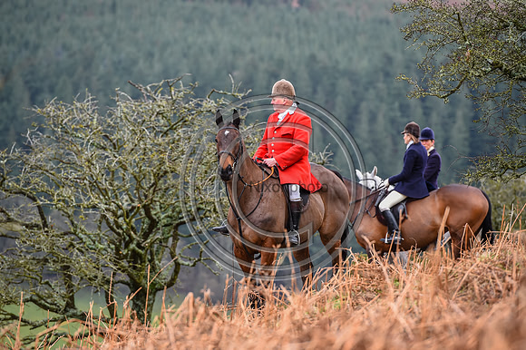 RadnorWestHereford_Hunting_PN24_13892