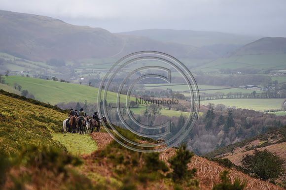 RadnorWestHereford_Hunting_PN24_13919