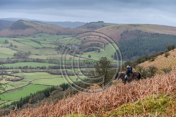 RadnorWestHereford_Hunting_PN24_13921