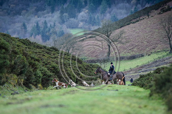 RadnorWestHereford_Hunting_PN24_13943