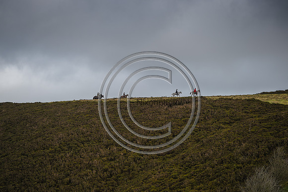 RadnorWestHereford_Hunting_PN24_13954