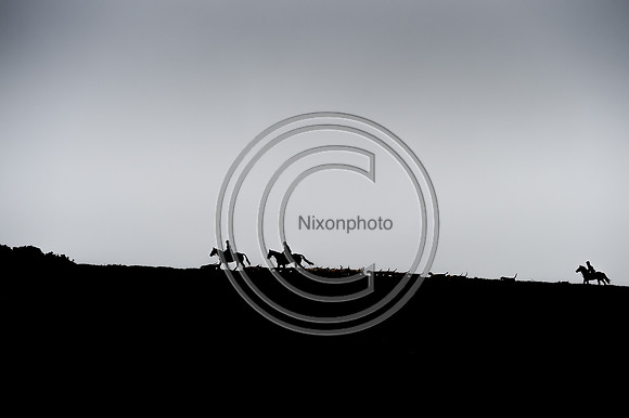 RadnorWestHereford_Hunting_PN24_13967