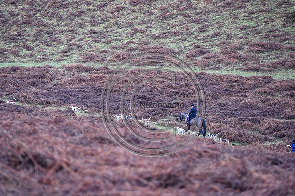RadnorWestHereford_Hunting_PN24_13963