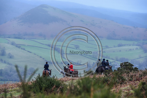 RadnorWestHereford_Hunting_PN24_13978