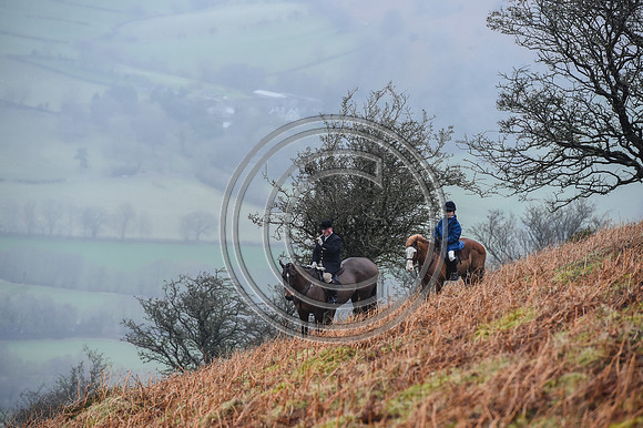 RadnorWestHereford_Hunting_PN24_13985