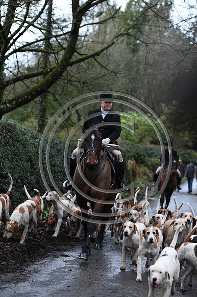 RadnorWestHereford_Hunting_PN24_13812
