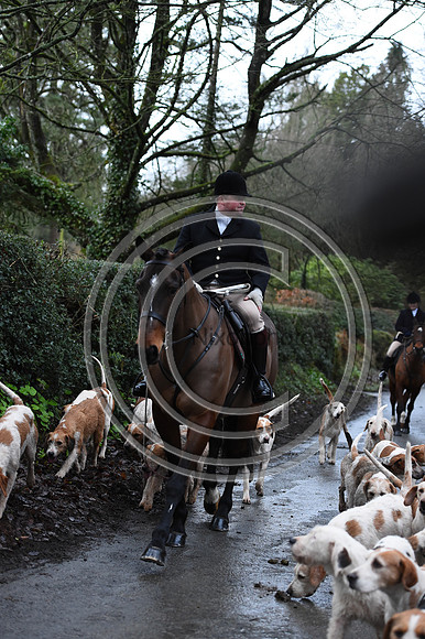 RadnorWestHereford_Hunting_PN24_13813