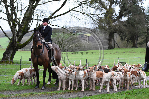 RadnorWestHereford_Hunting_PN24_13817