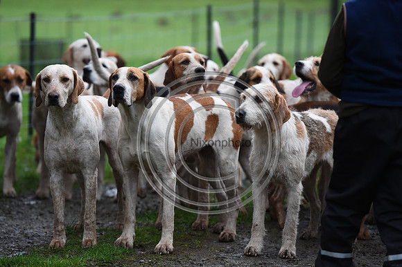 RadnorWestHereford_Hunting_PN24_13847