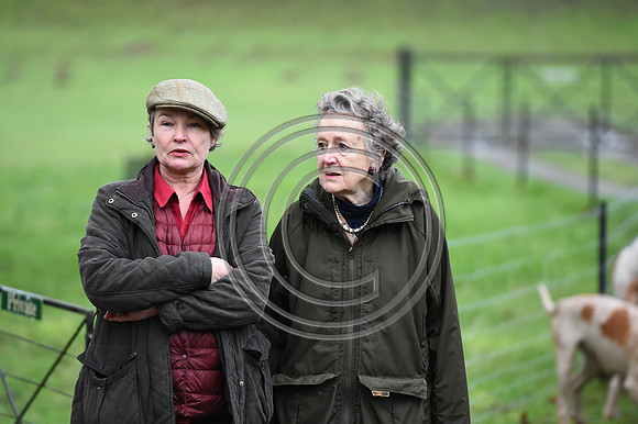 RadnorWestHereford_Hunting_PN24_13853