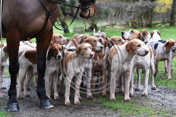 RadnorWestHereford_Hunting_PN24_13866