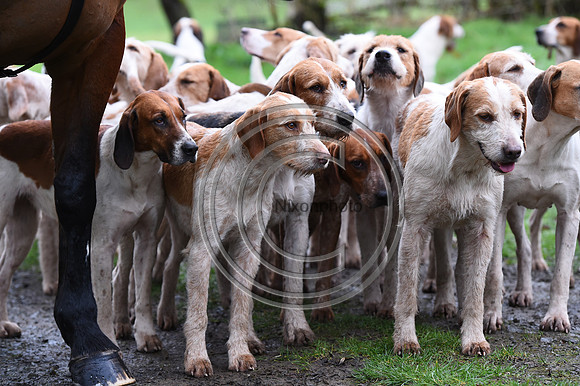 RadnorWestHereford_Hunting_PN24_13867
