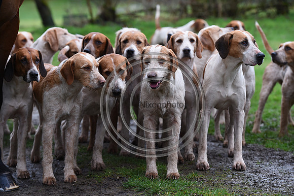 RadnorWestHereford_Hunting_PN24_13868