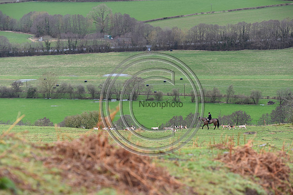 RadnorWestHereford_Hunting_PN24_13874