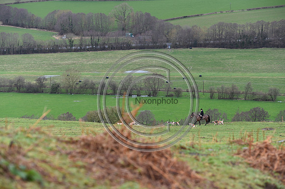 RadnorWestHereford_Hunting_PN24_13875