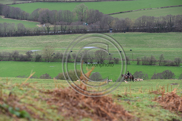 RadnorWestHereford_Hunting_PN24_13876