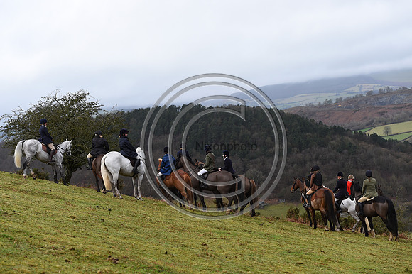 RadnorWestHereford_Hunting_PN24_13885