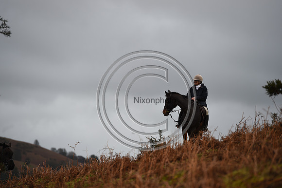 RadnorWestHereford_Hunting_PN24_13888