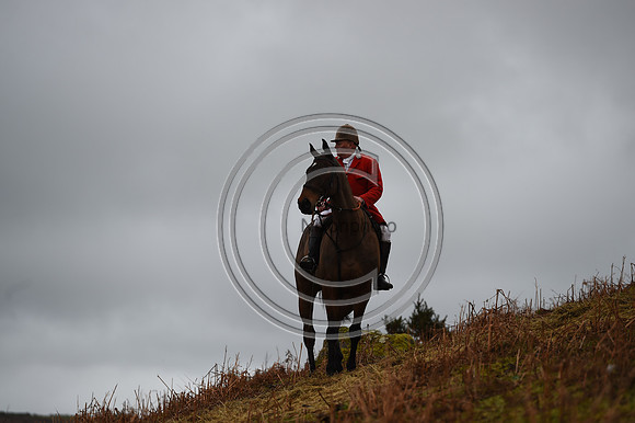 RadnorWestHereford_Hunting_PN24_13894
