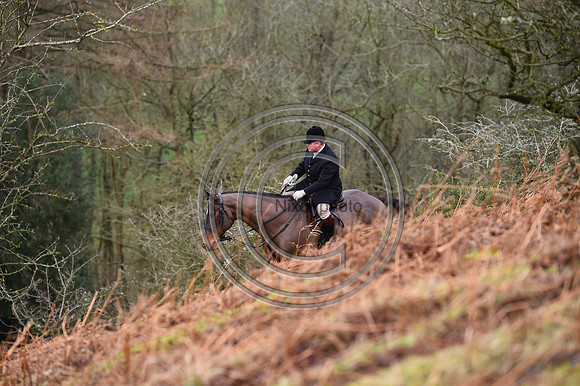 RadnorWestHereford_Hunting_PN24_13893