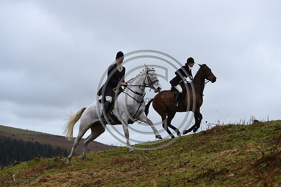 RadnorWestHereford_Hunting_PN24_13902