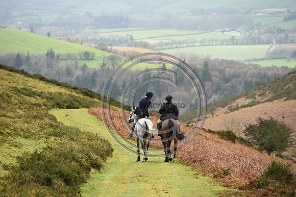 RadnorWestHereford_Hunting_PN24_13916