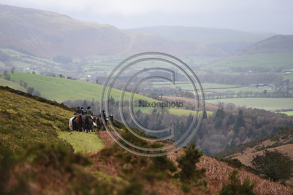 RadnorWestHereford_Hunting_PN24_13920