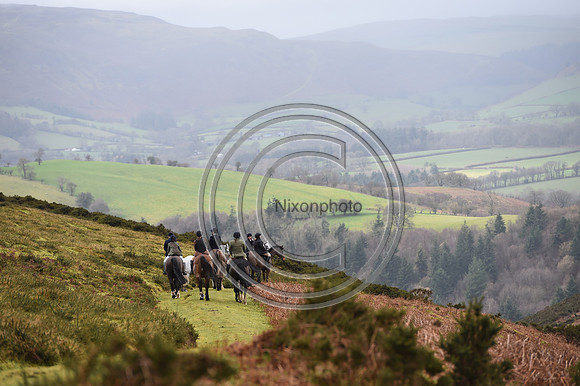 RadnorWestHereford_Hunting_PN24_13917