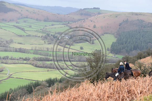 RadnorWestHereford_Hunting_PN24_13922