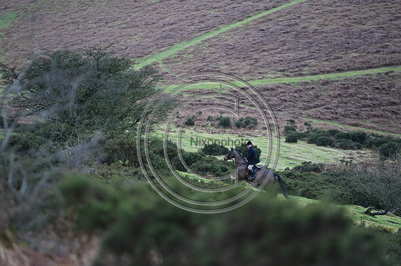 RadnorWestHereford_Hunting_PN24_13940