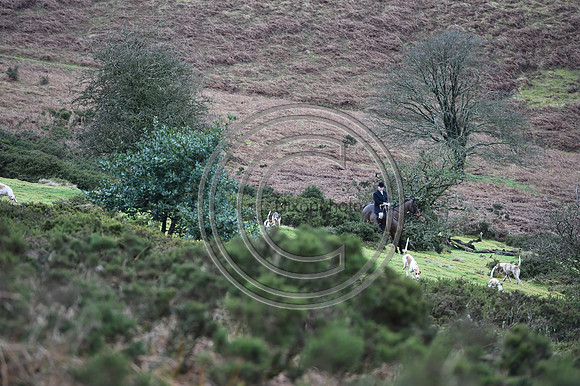 RadnorWestHereford_Hunting_PN24_13939