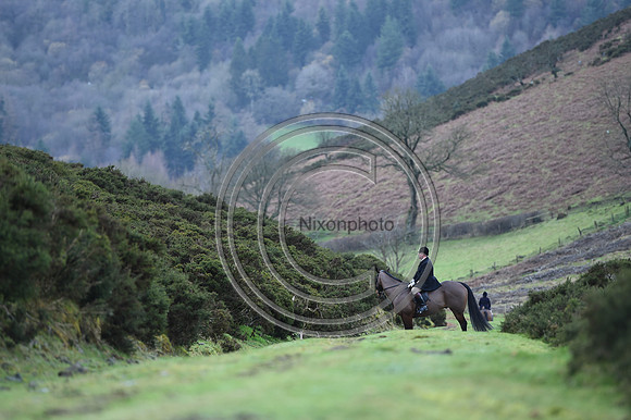 RadnorWestHereford_Hunting_PN24_13941