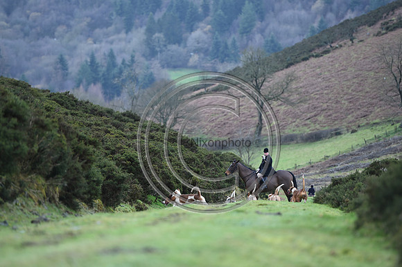 RadnorWestHereford_Hunting_PN24_13942
