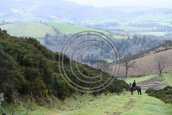 RadnorWestHereford_Hunting_PN24_13944