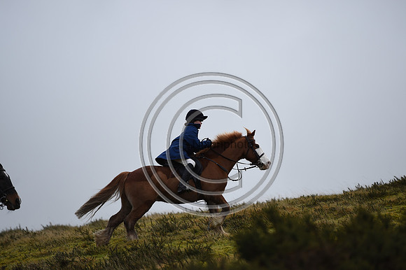 RadnorWestHereford_Hunting_PN24_13946