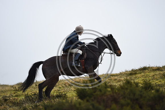 RadnorWestHereford_Hunting_PN24_13947