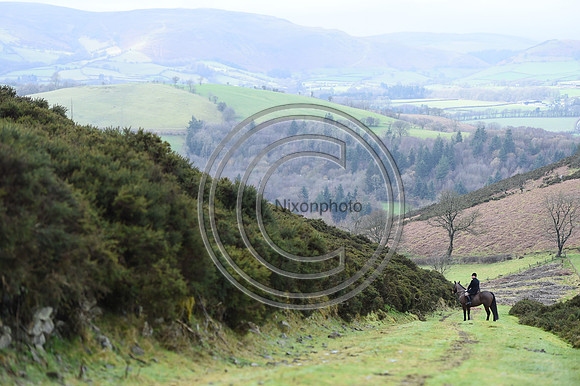RadnorWestHereford_Hunting_PN24_13945