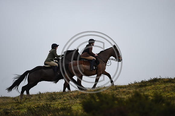 RadnorWestHereford_Hunting_PN24_13948