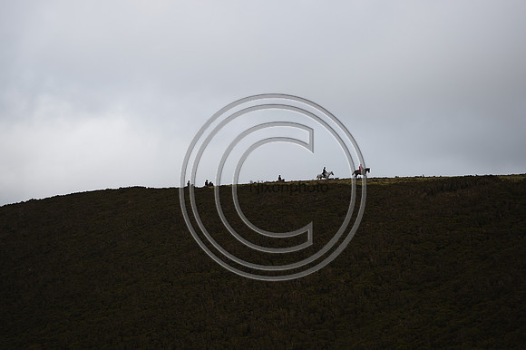 RadnorWestHereford_Hunting_PN24_13953