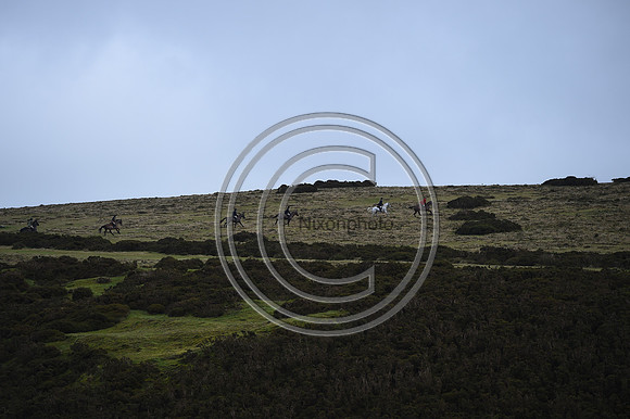 RadnorWestHereford_Hunting_PN24_13955
