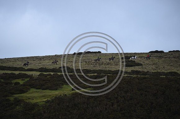 RadnorWestHereford_Hunting_PN24_13957
