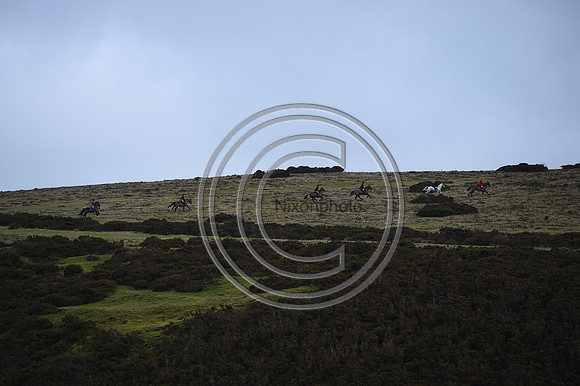 RadnorWestHereford_Hunting_PN24_13956