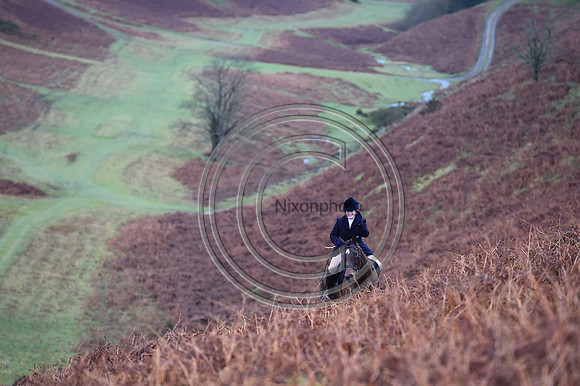 RadnorWestHereford_Hunting_PN24_13960