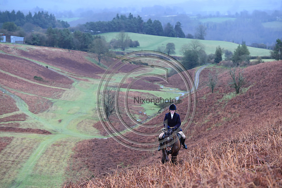 RadnorWestHereford_Hunting_PN24_13962