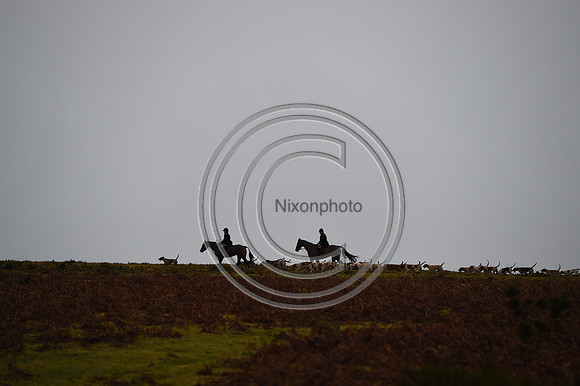 RadnorWestHereford_Hunting_PN24_13965