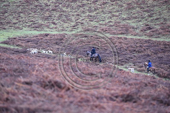 RadnorWestHereford_Hunting_PN24_13964