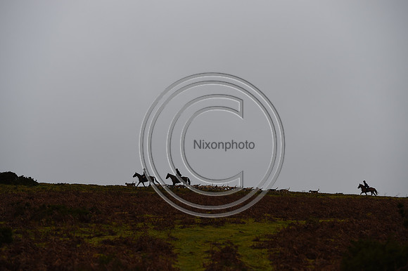 RadnorWestHereford_Hunting_PN24_13966