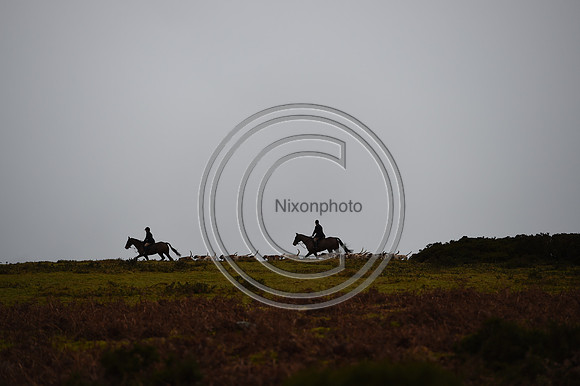 RadnorWestHereford_Hunting_PN24_13968